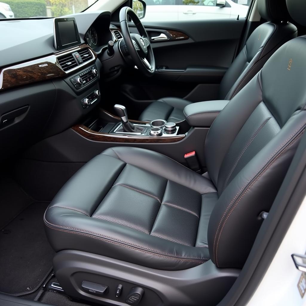 Interior Car Detailing in Elk Grove