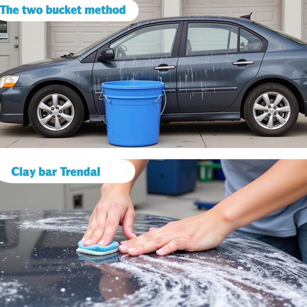 Car Wash and Decontamination Process