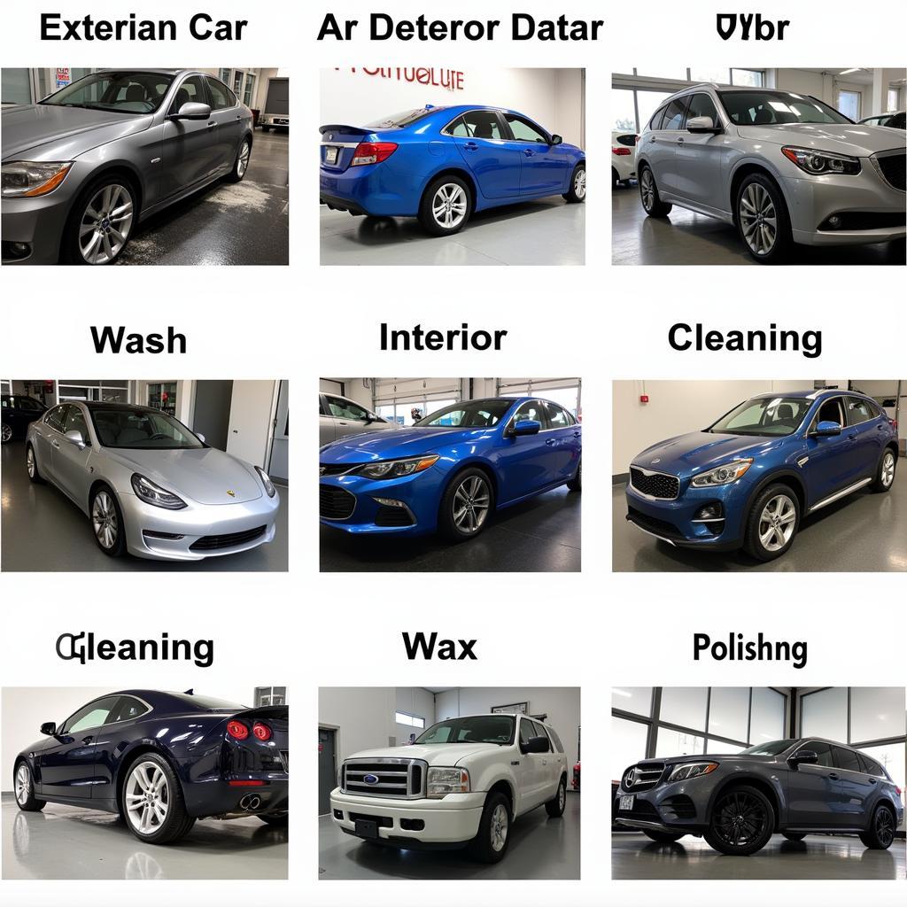 Car Wash and Detailing Services in Parkland Florida