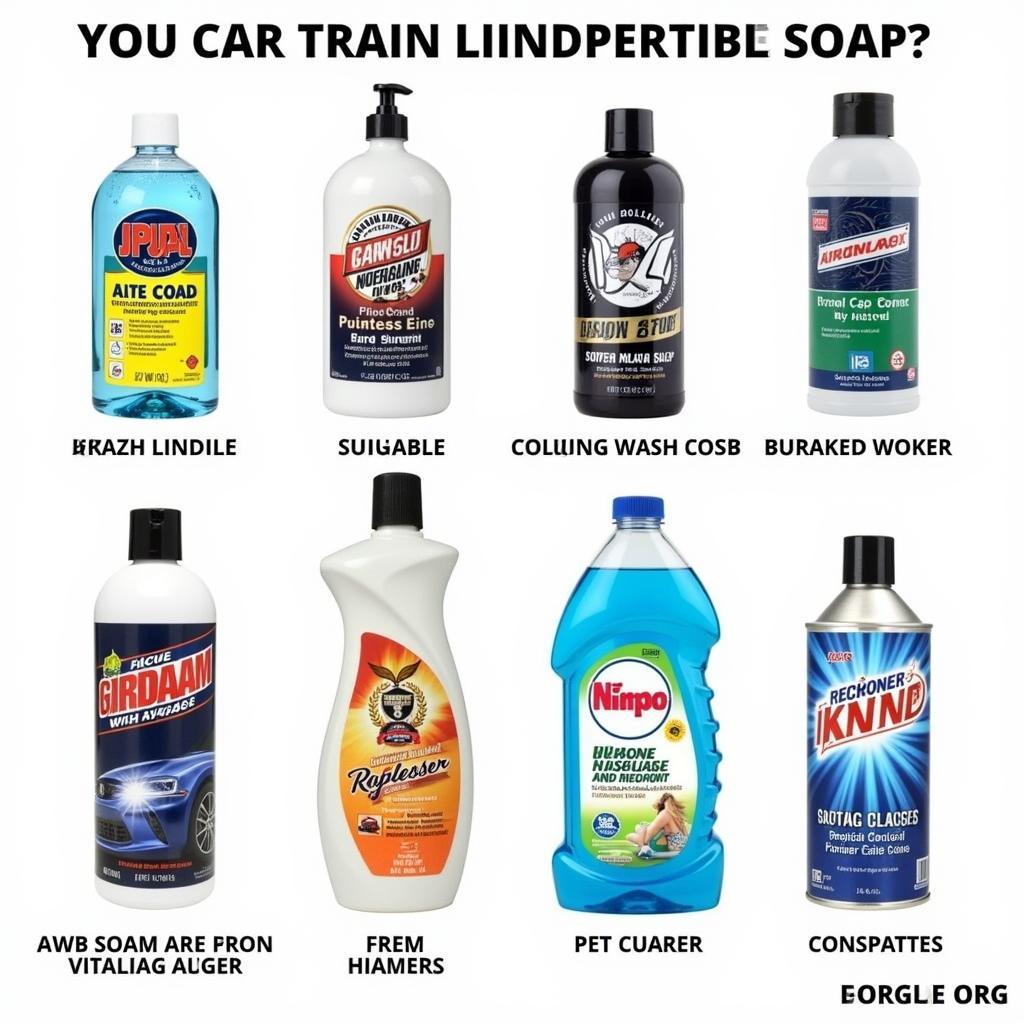 Comparing Different Car Wash Soaps