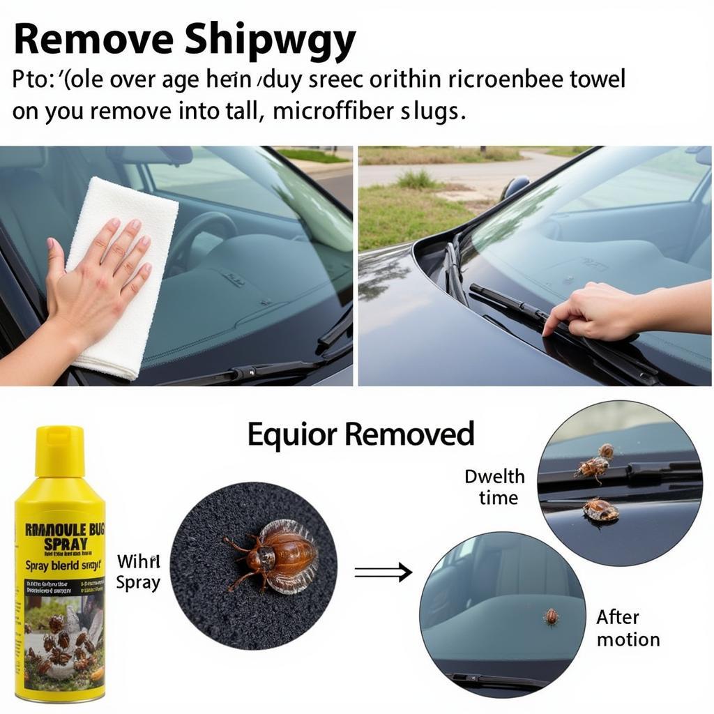 Removing Stubborn Bugs from Car Windshield