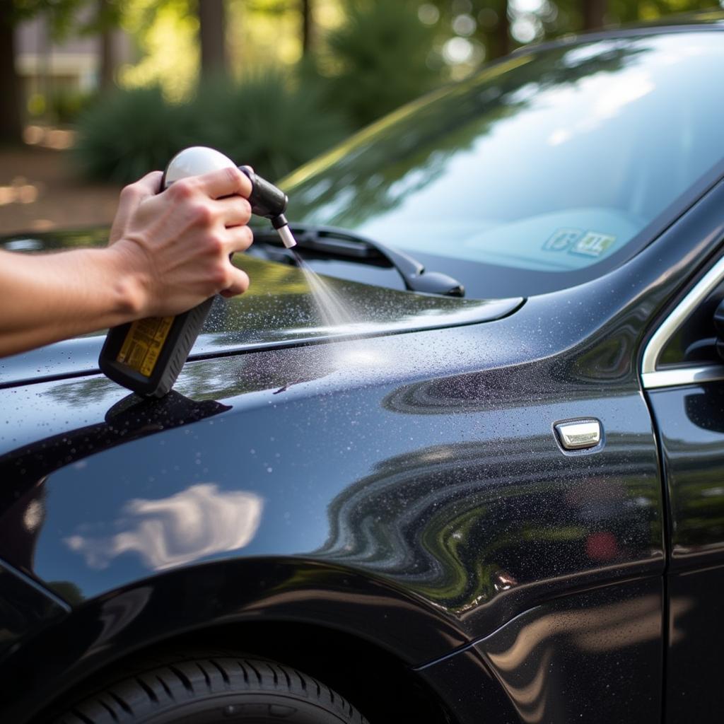 Car After Application of Protectant