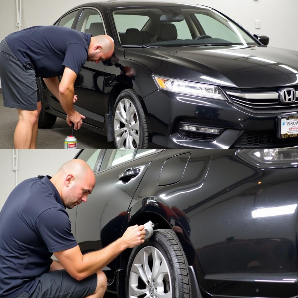 Professional Exterior Detailing on a Carbone Honda