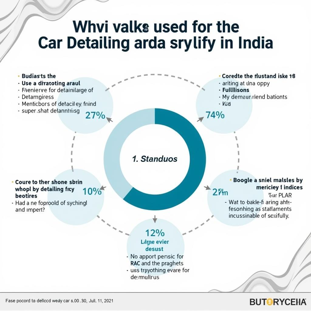 Challenges in Indian Car Detailing Industry