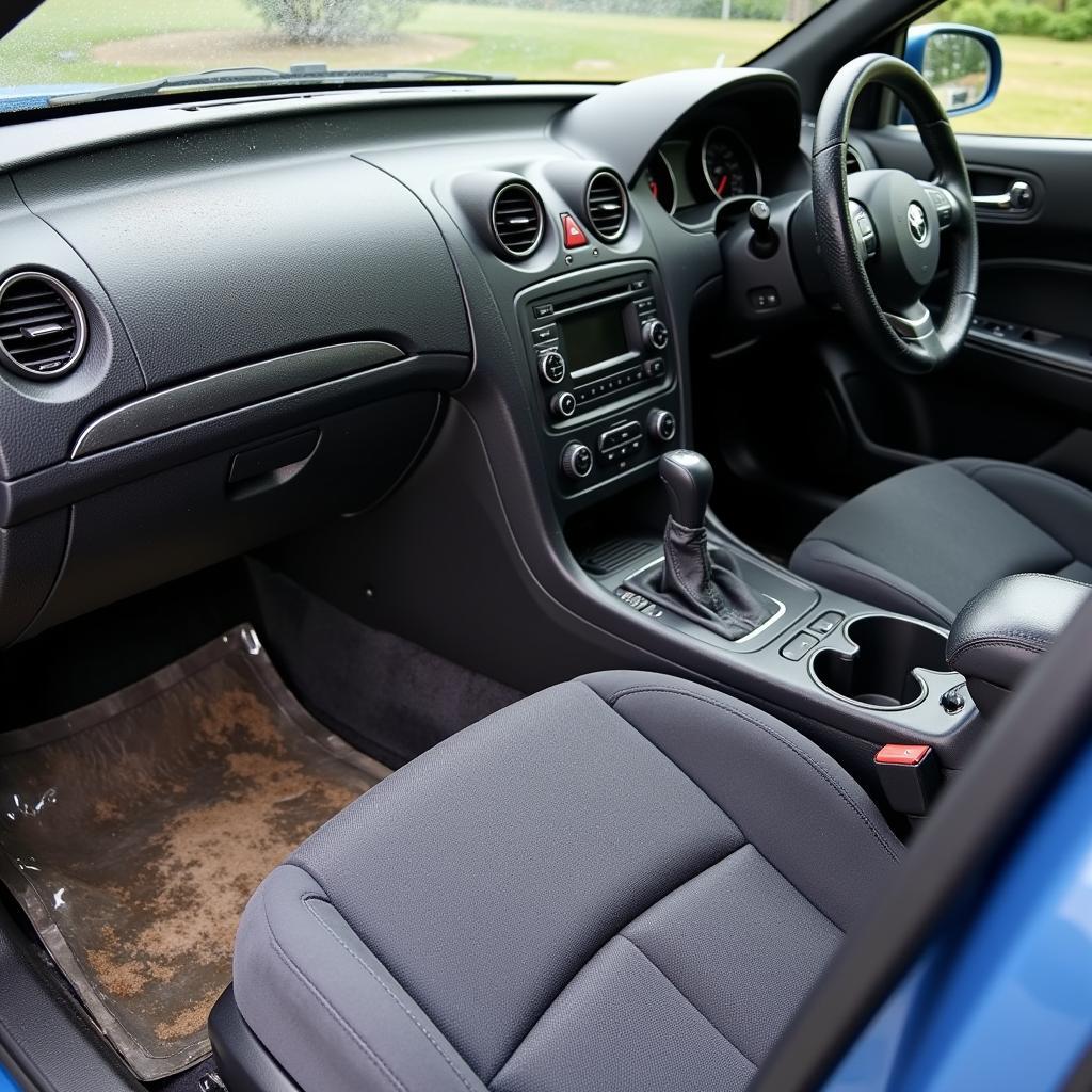 Assessing Car Interior Before Detailing