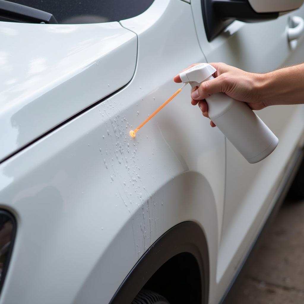 Applying Clay Bar Lubricant to Car Panel