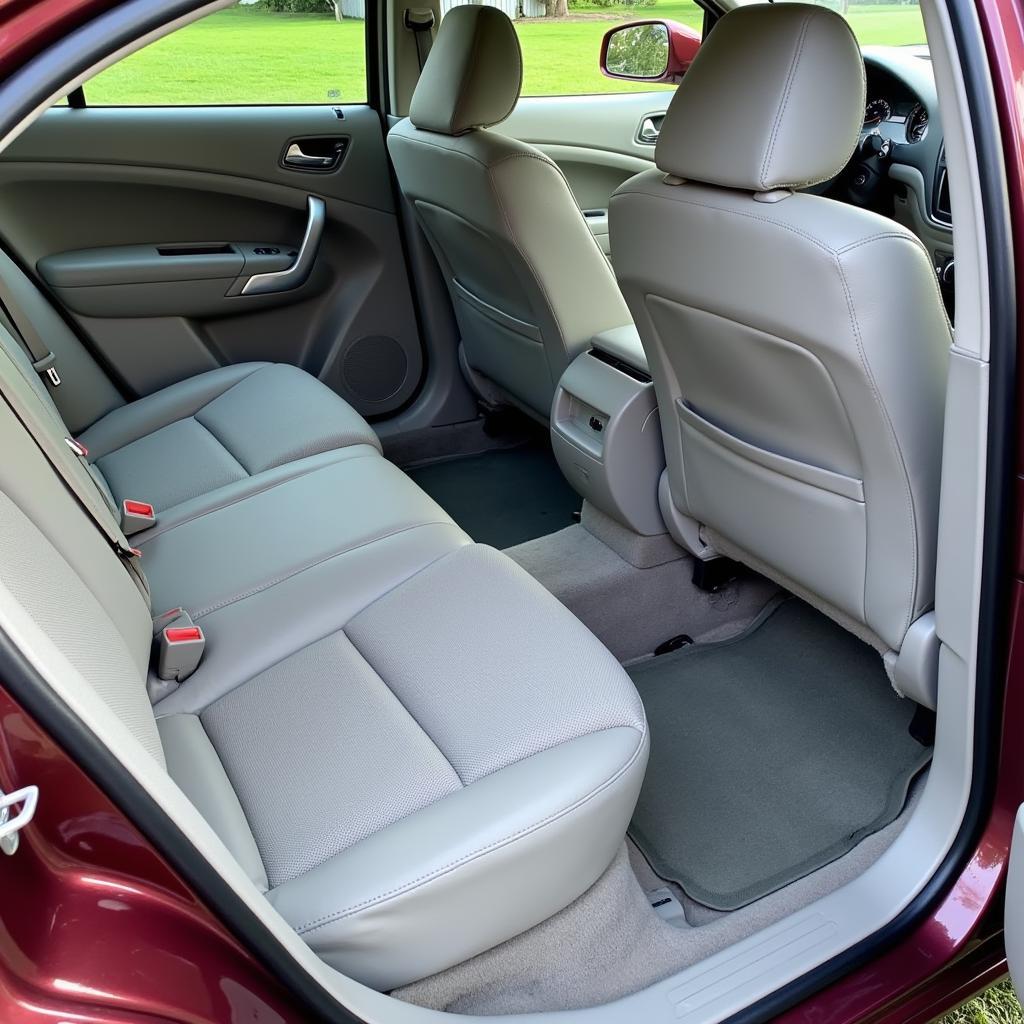 Cleaned Car Interior After Flood