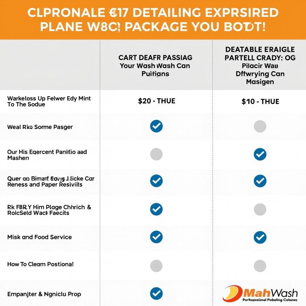 Chart comparing different car detailing packages and their features