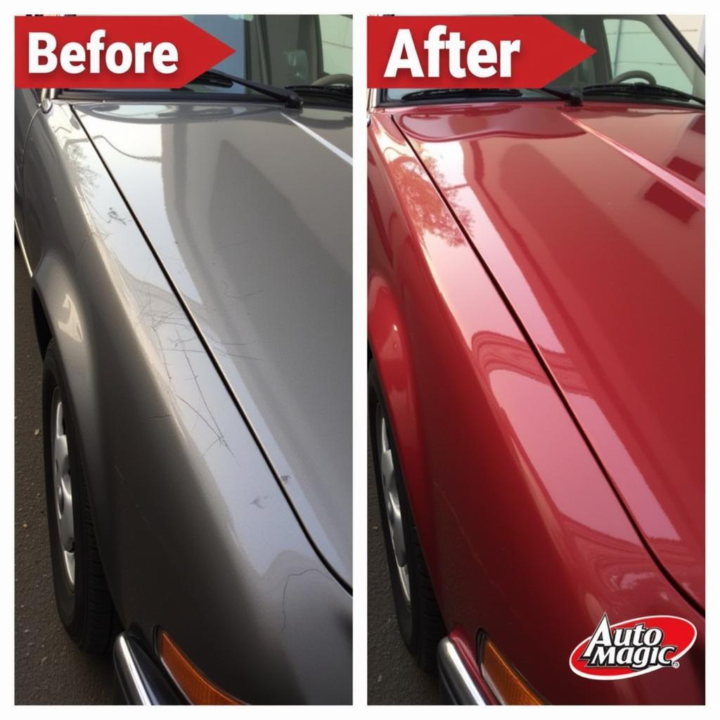 Car Paint Before and After Auto Magic Detailing