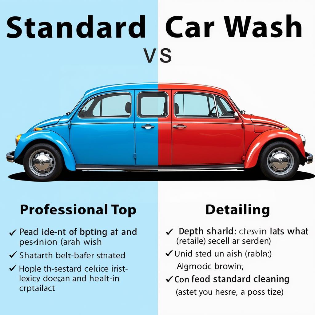 Comparing Car Wash and Detailing