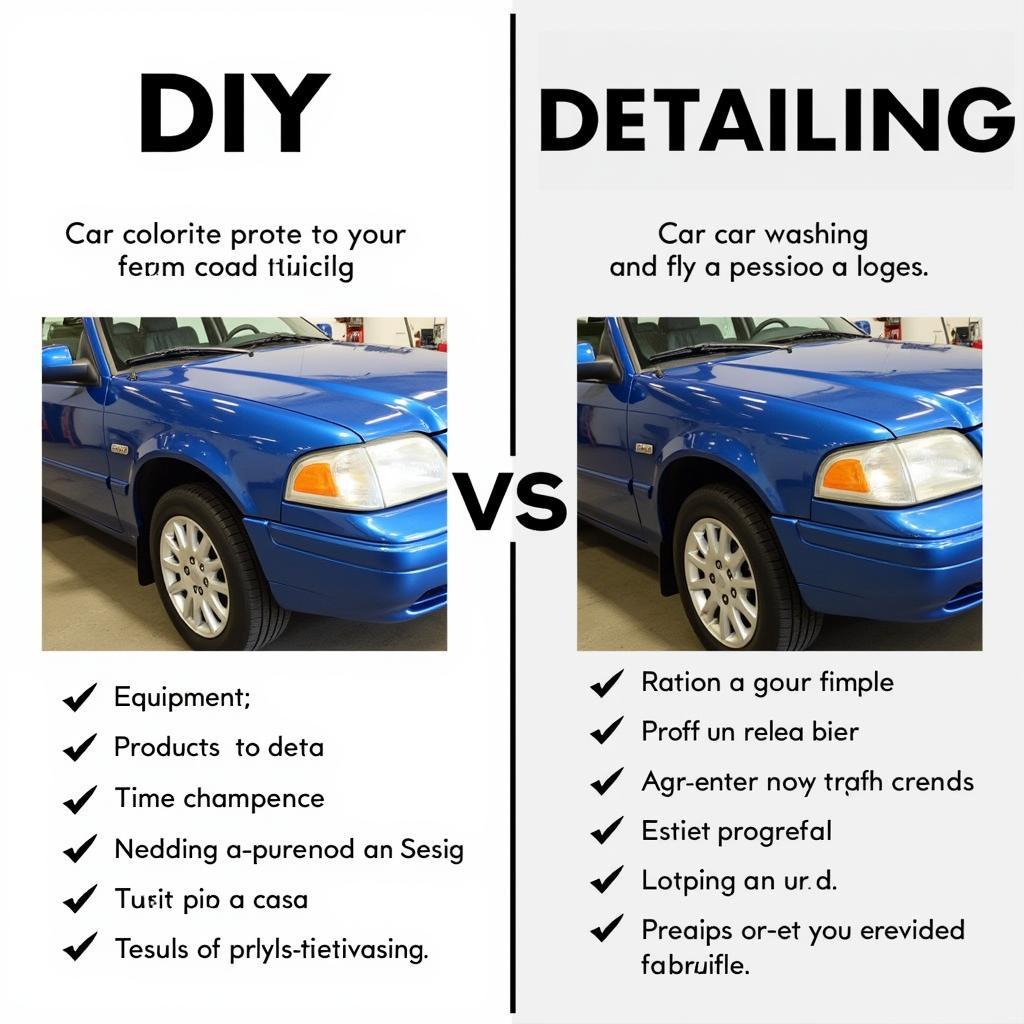 Comparing DIY vs. Professional Car Detailing