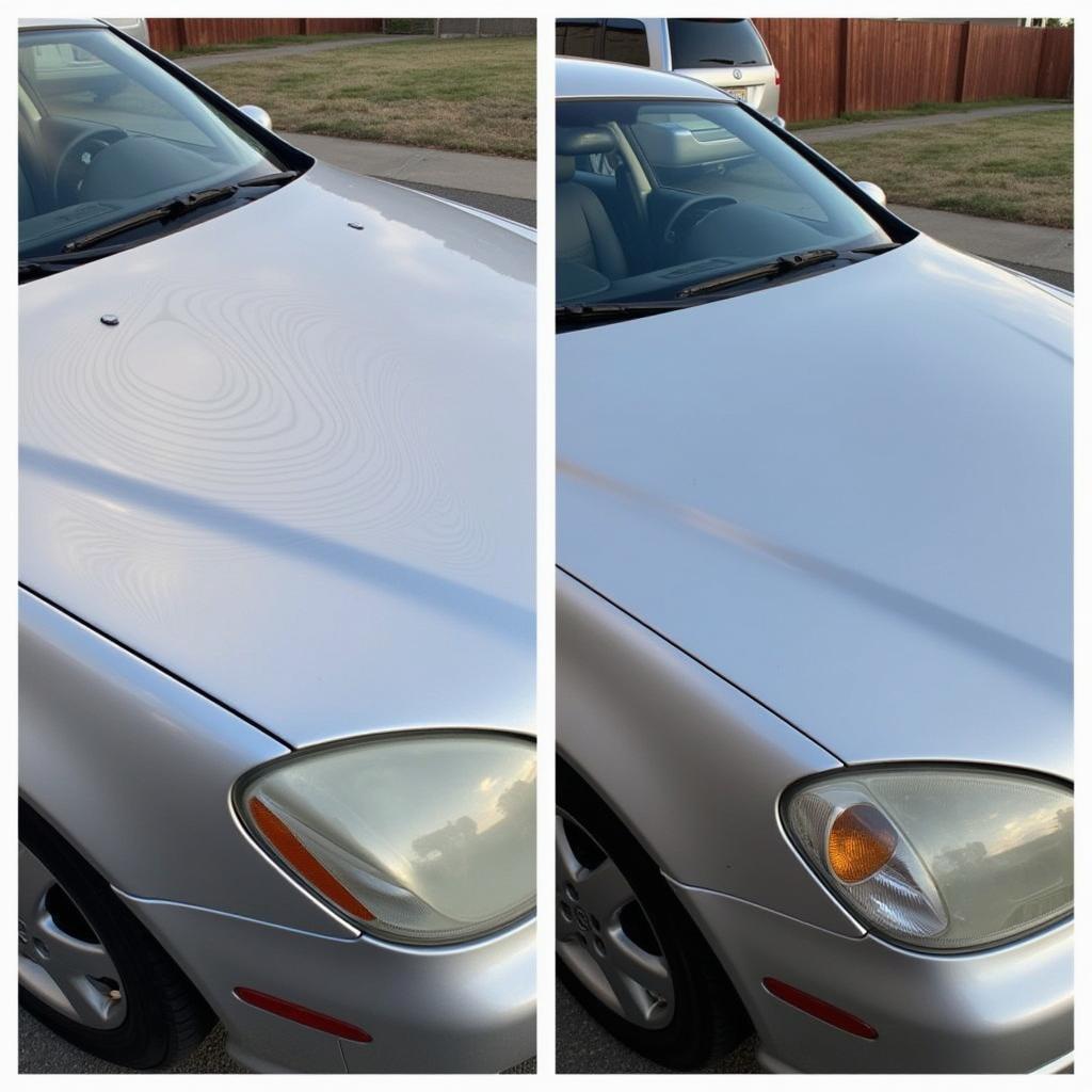 Comparing Reflex Detailing Before and After