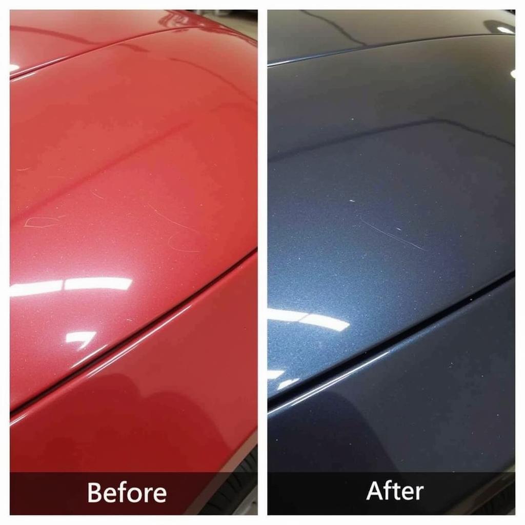 Crosslake MN Car Detailing Paint Correction