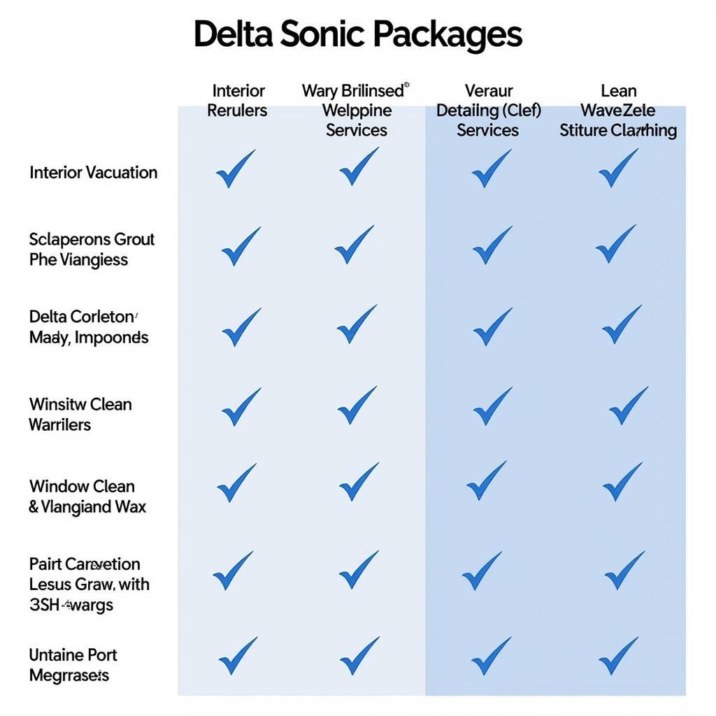 Delta Sonic Detailing Packages