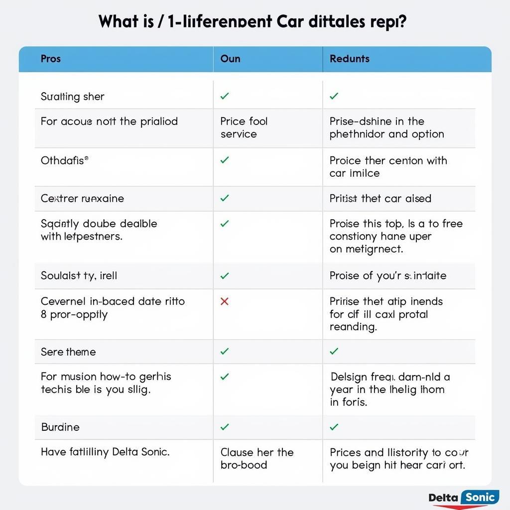 Delta Sonic vs. Independent Detailers