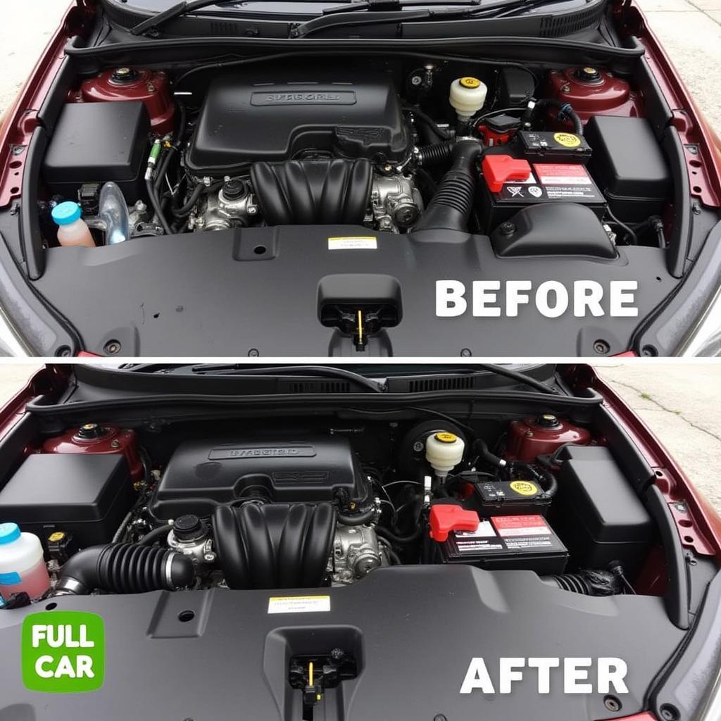 Detailed Car Engine Bay After Full Service