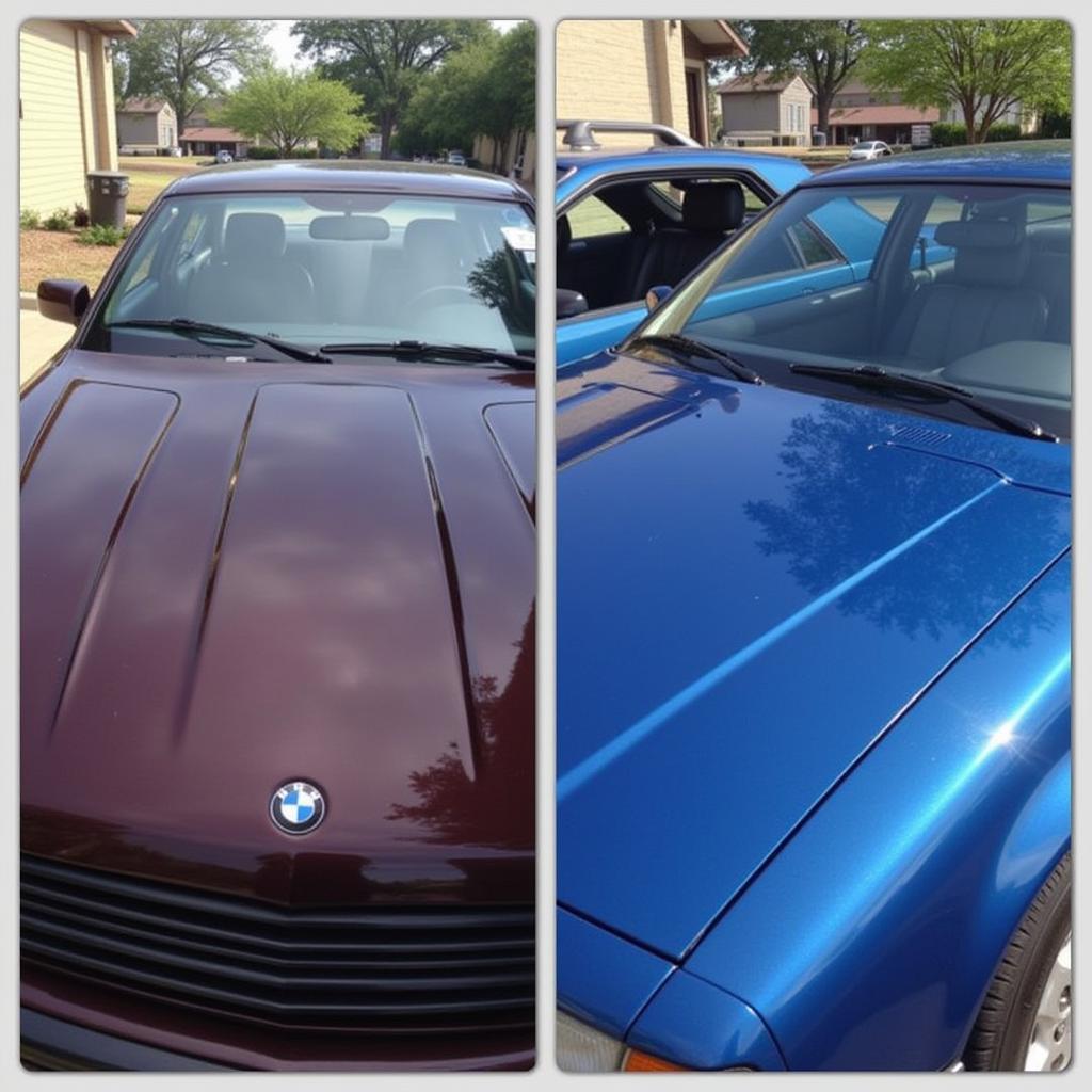 Detailed Car Sparkling in Austin Sunlight