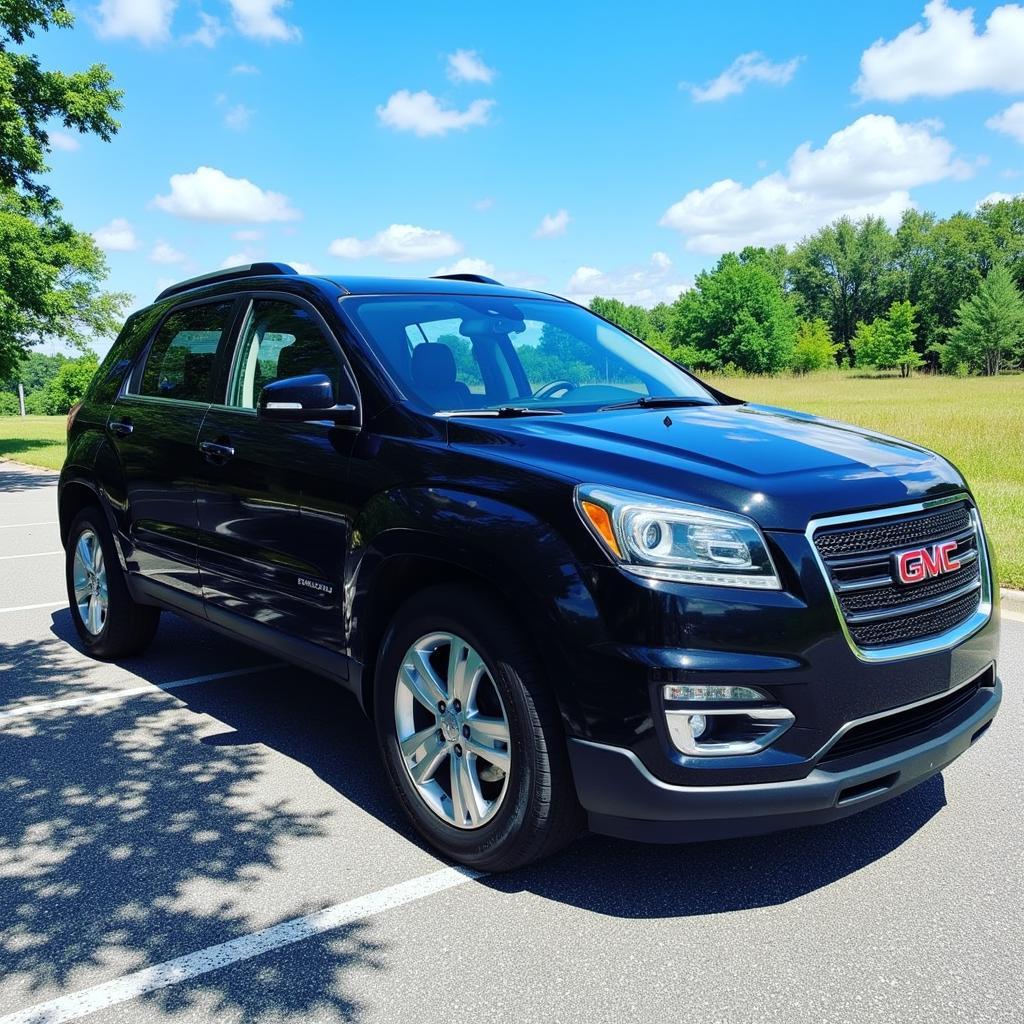 A Detailed Car Sparkling in the Zephyrhills Sunshine