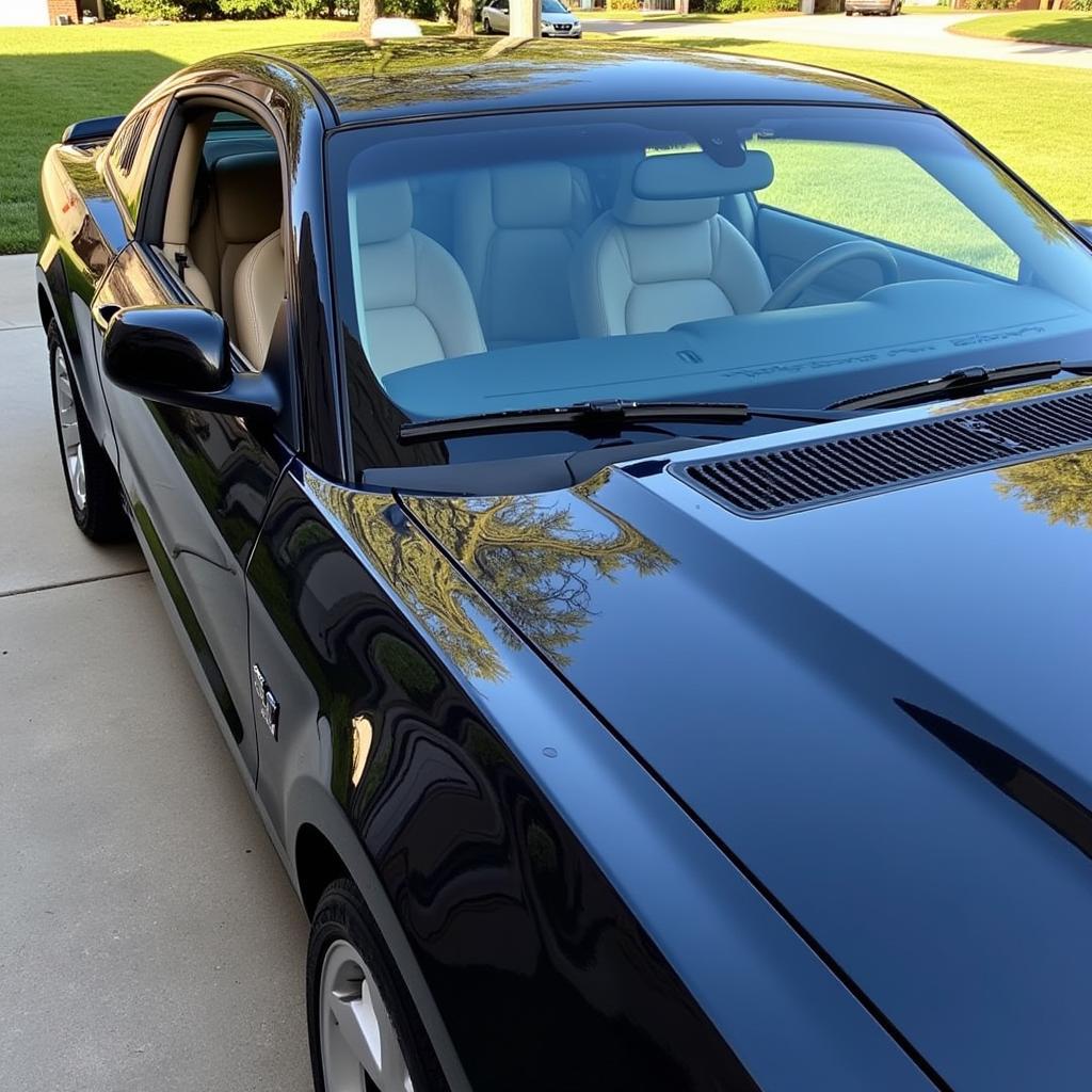 Benefits of Car Detailing: Showroom Shine