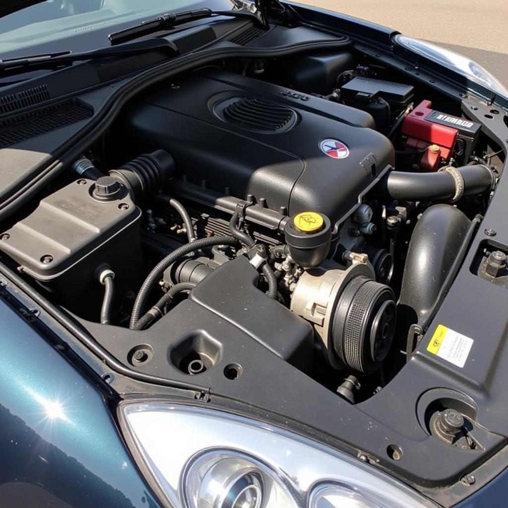 Sparkling Clean Engine Compartment After Detailing