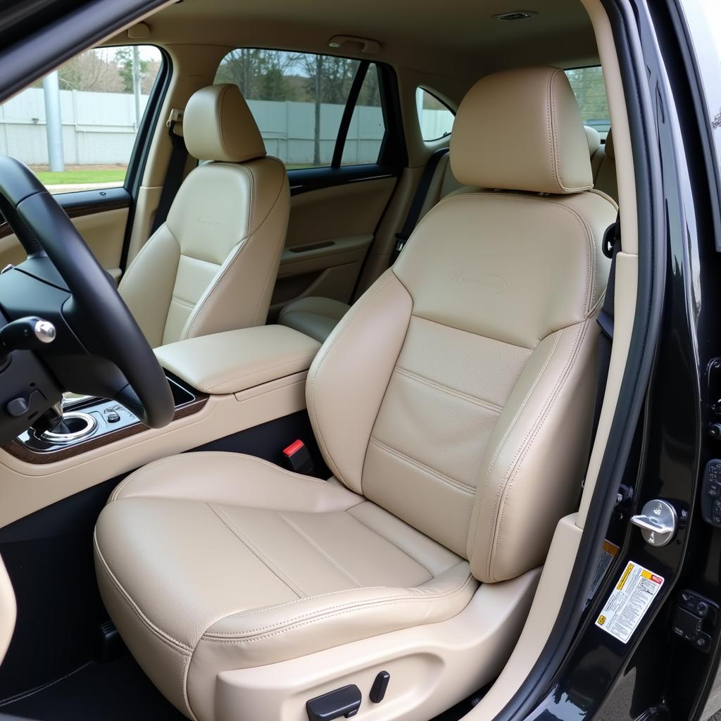 Detailed Leather Car Seats