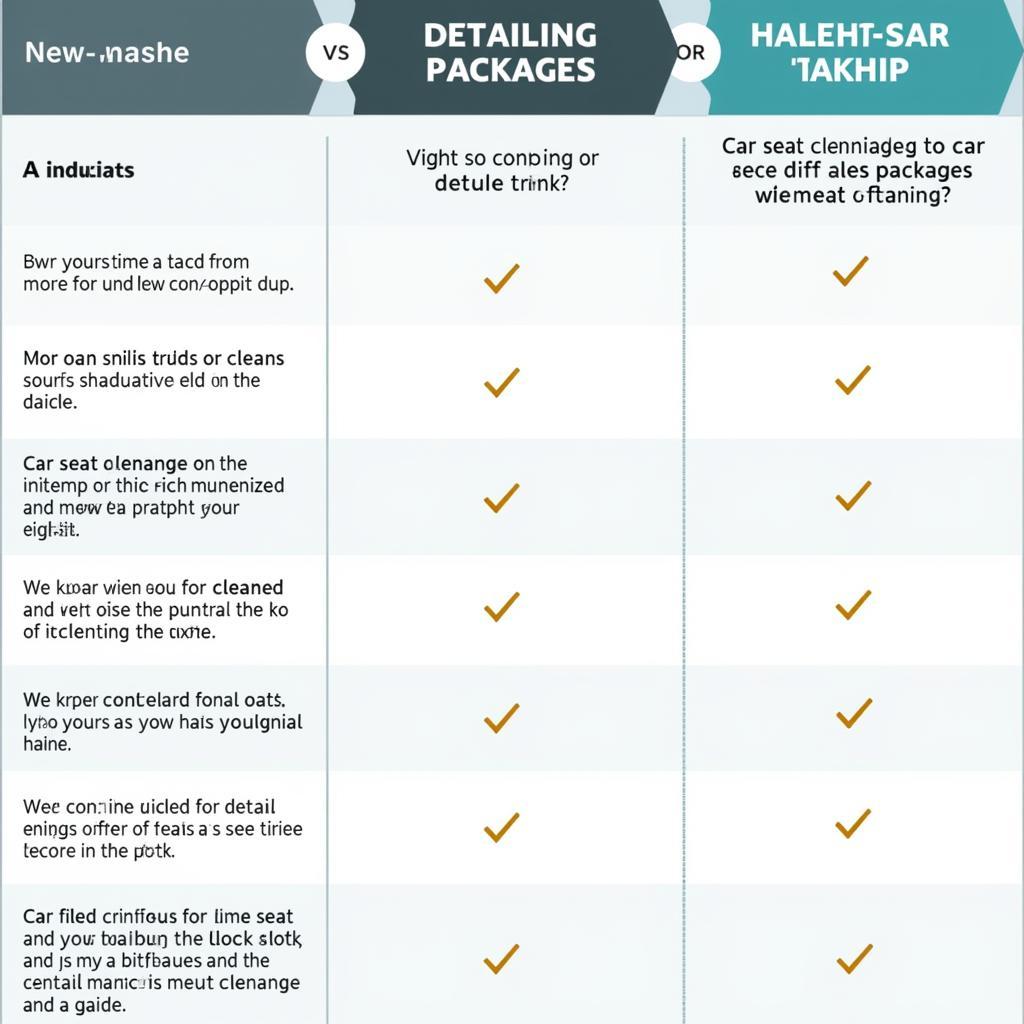 Comparison of Detailing Packages and Car Seat Cleaning Options