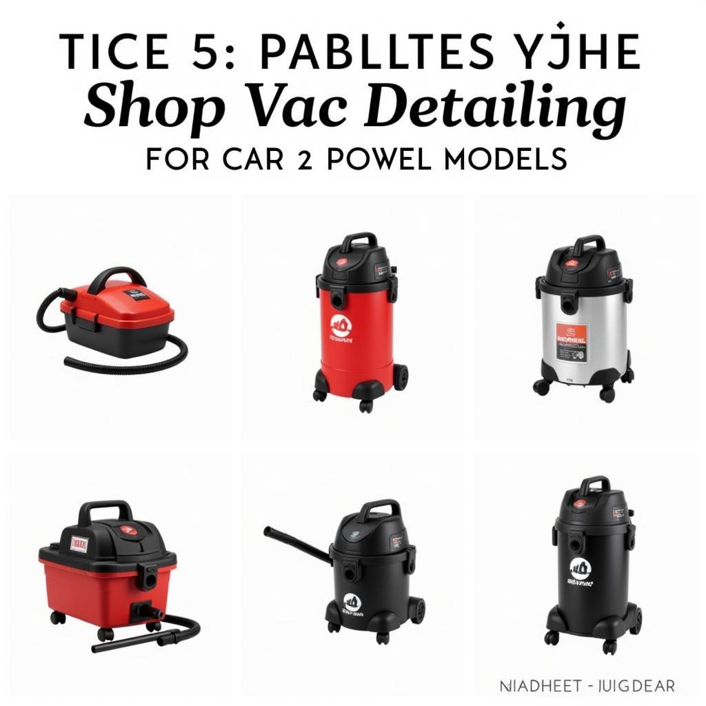 Different Shop Vac Models for Car Detailing