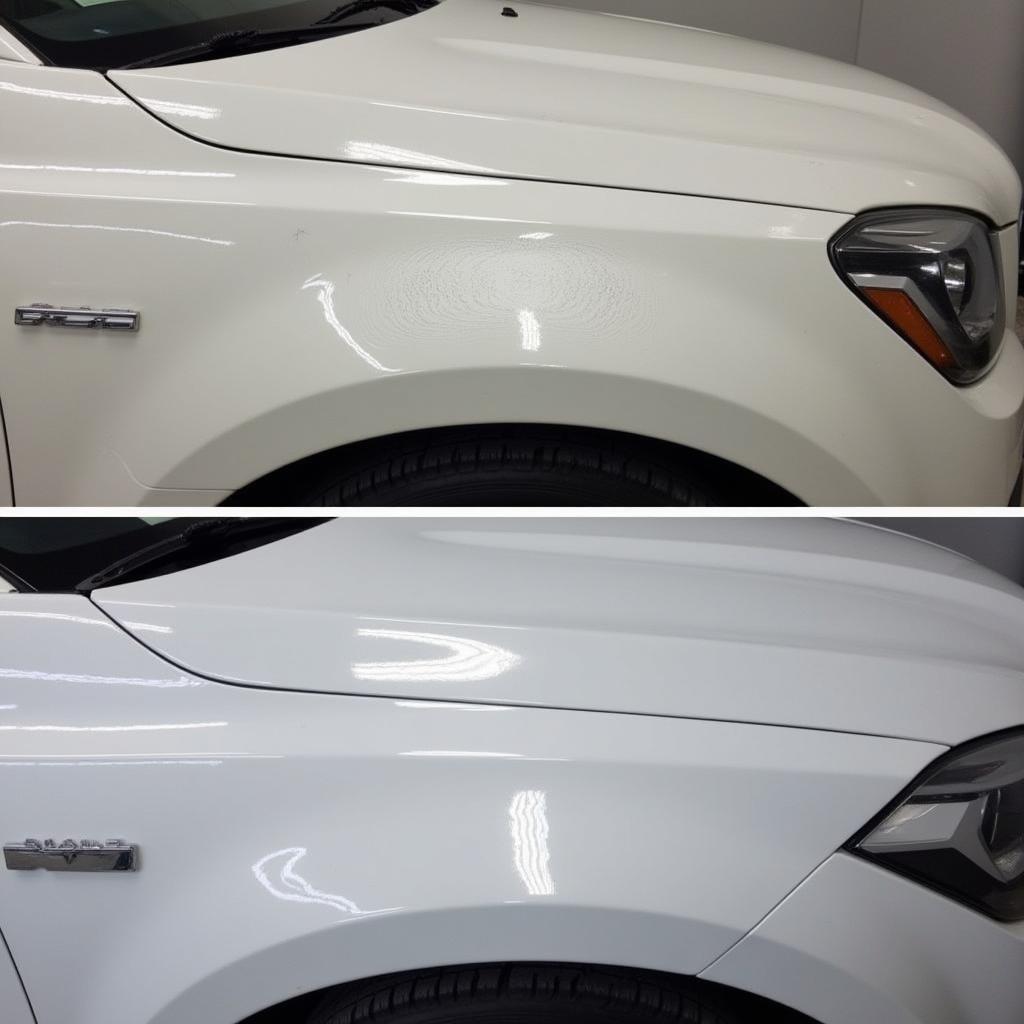 Comparing DIY and professional car detailing in Punta Gorda