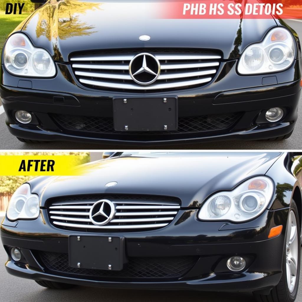 DIY vs. Professional Car Detailing Comparison in West Linn