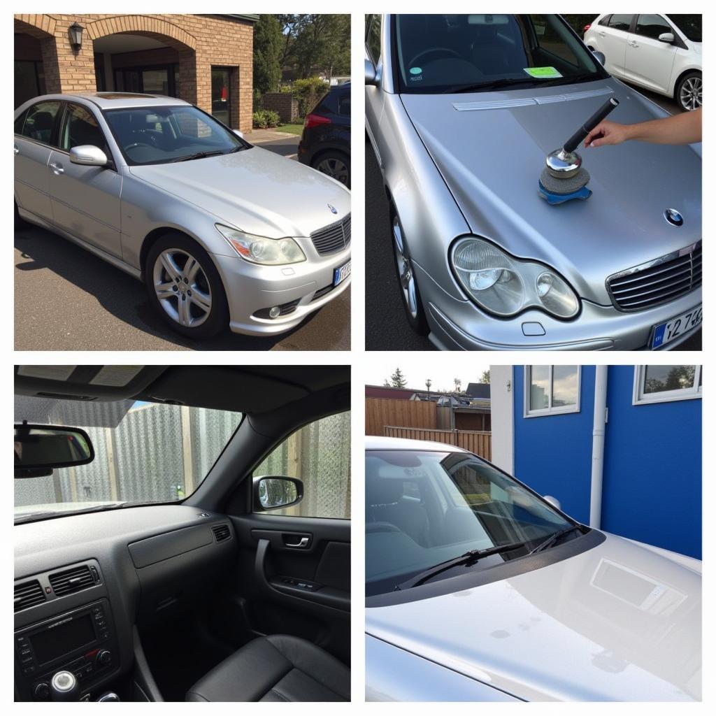 Dunedin Car Detailing Services Comparison