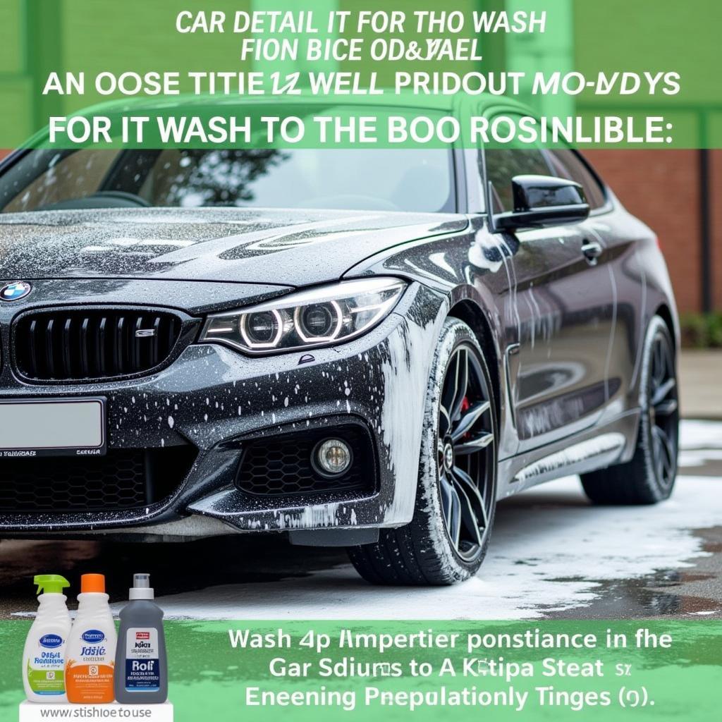 Eco-friendly car detailing services in Mississauga