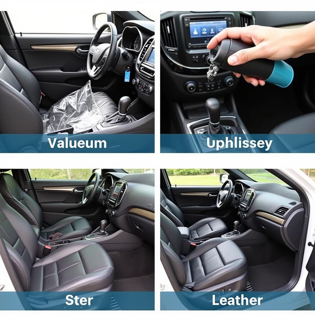 Elgin car detailing interior cleaning services