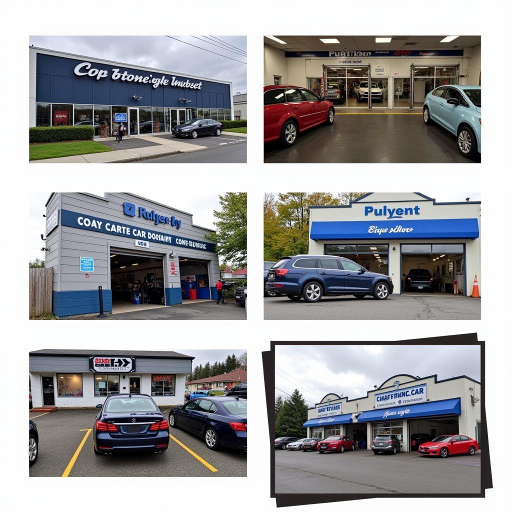 Everett Car Detailing Shops: Exploring Options