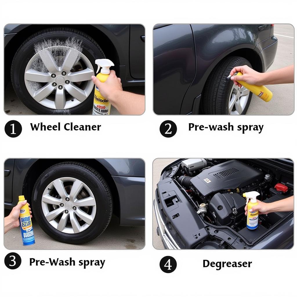 Exterior Car Detailing Cleaners in Action