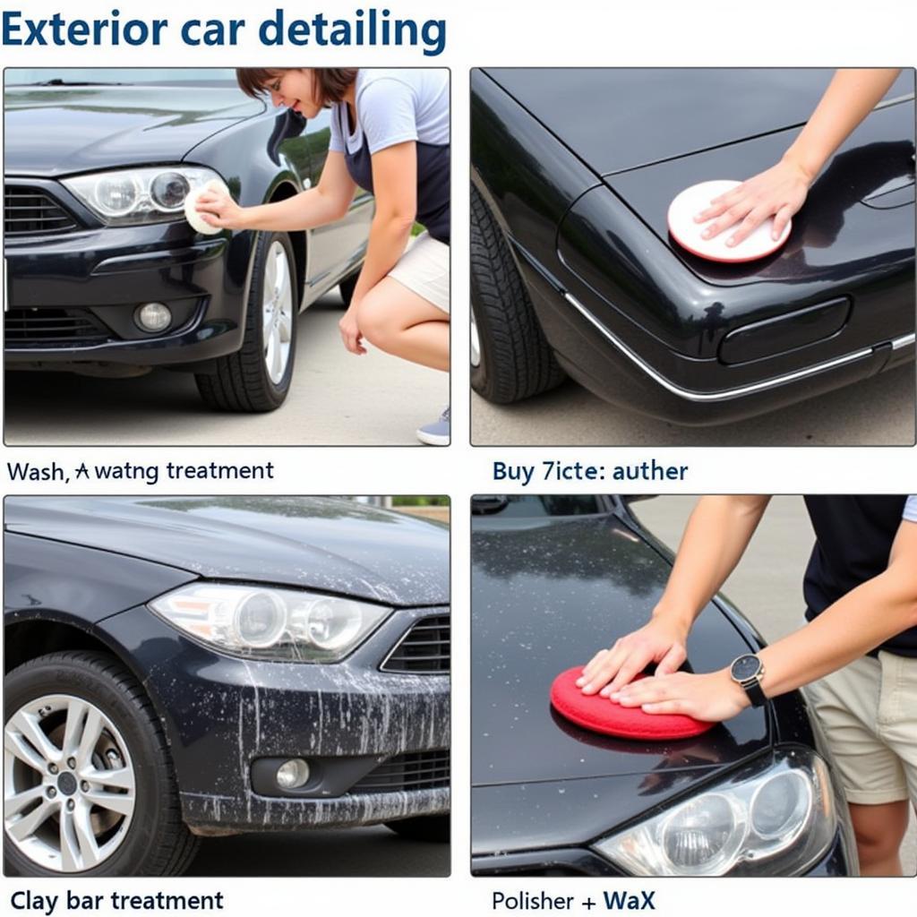 Exterior Car Detailing Process