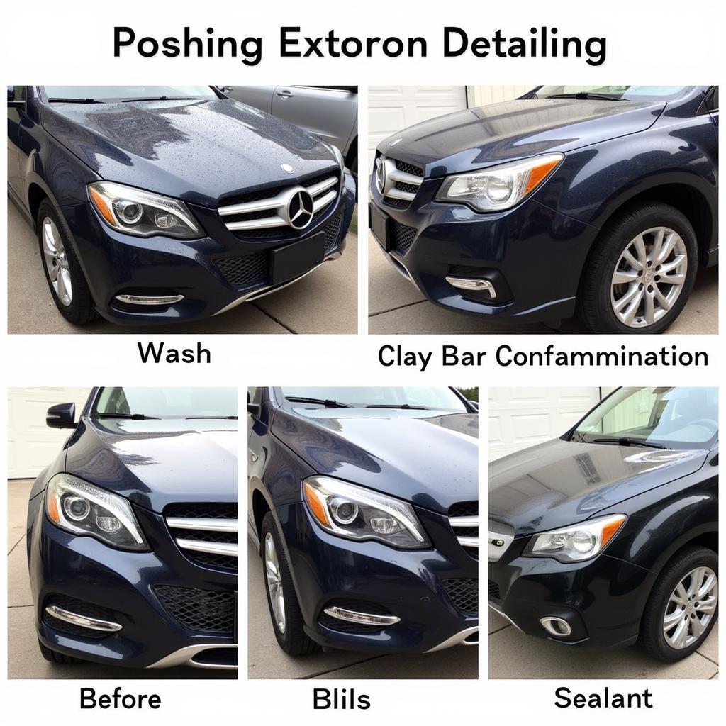 Exterior Car Detailing Process in Action