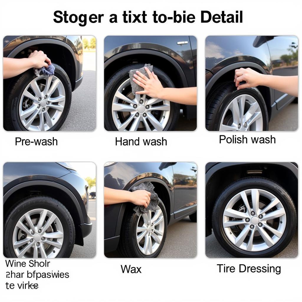 Exterior Car Detailing Process Steps