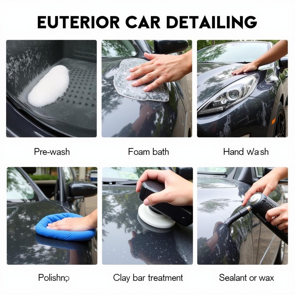 Exterior Car Detailing Process in Action