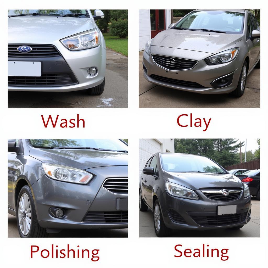 Exterior Car Detailing Process Steps