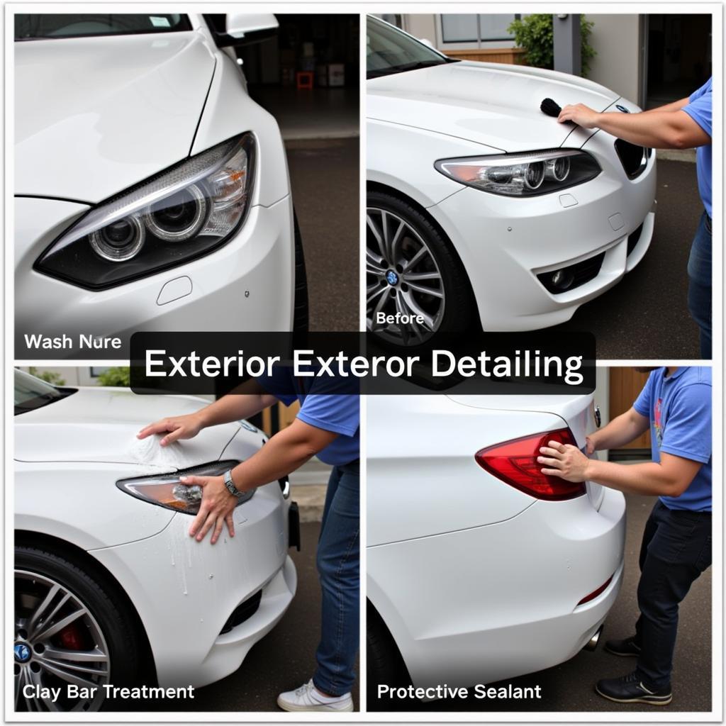 Car Detailing Services in Virginia Beach: Exterior Detailing Process