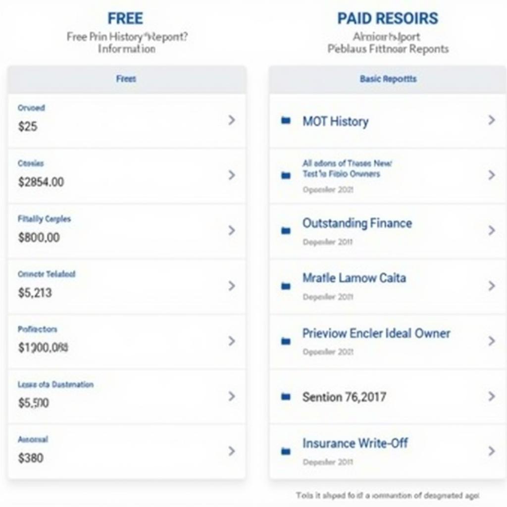 Comparing Free vs. Paid Car History Checks