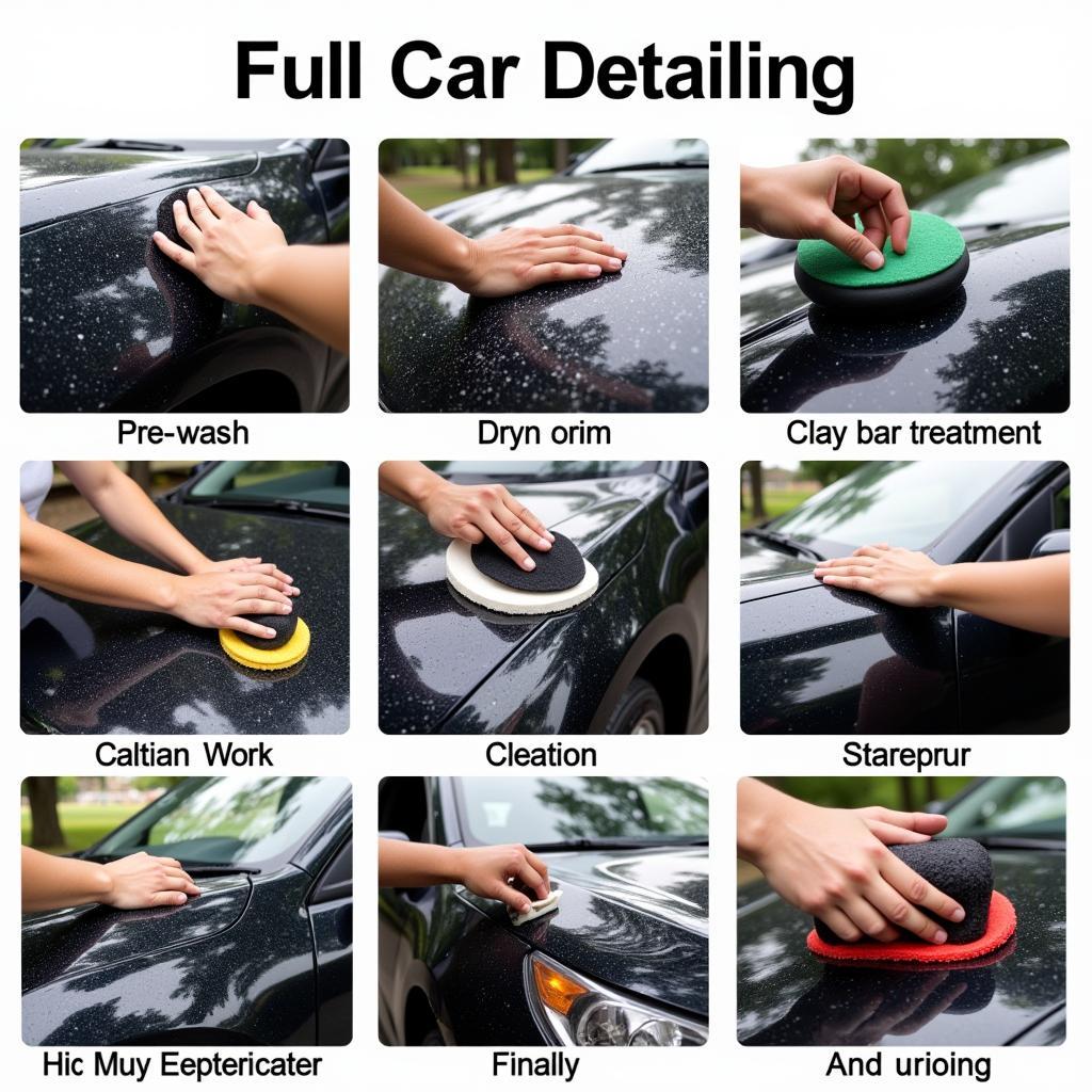 Full Car Detailing Process