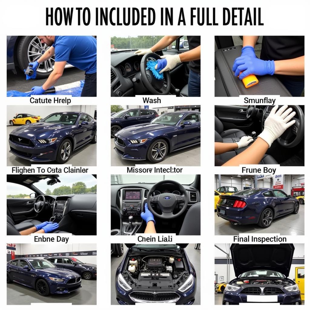 Full Car Detail Process