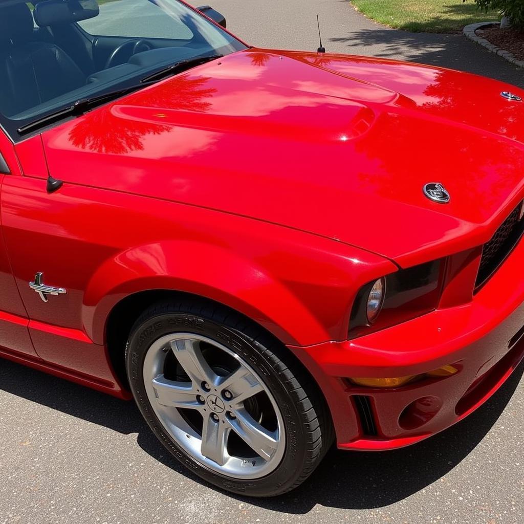 A fully detailed car with gleaming paintwork and spotless wheels.