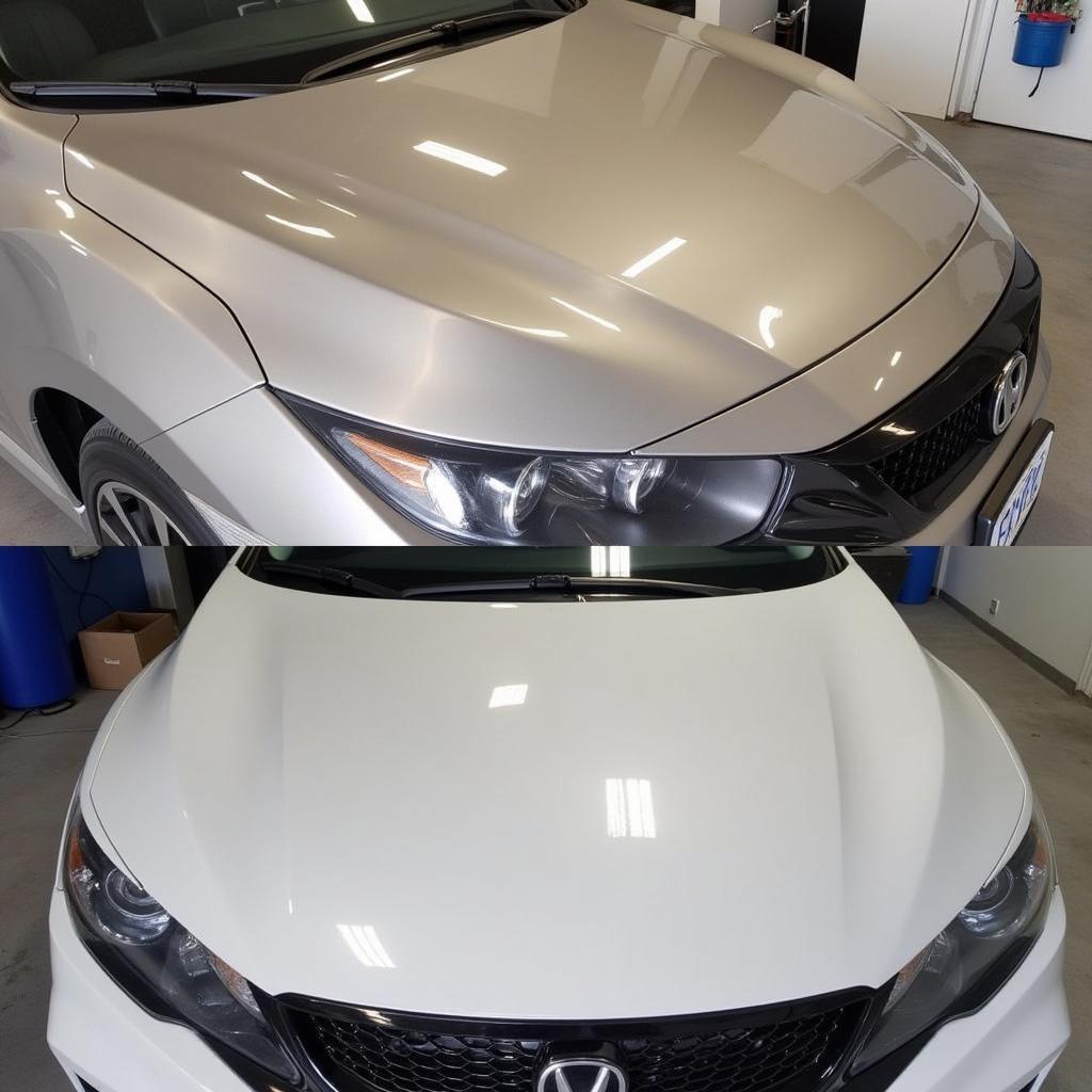 Paint Correction in Guelph