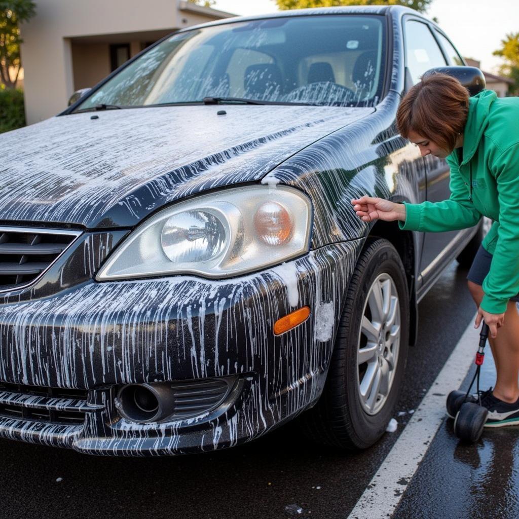 Exterior car wash in Hawaii Kai