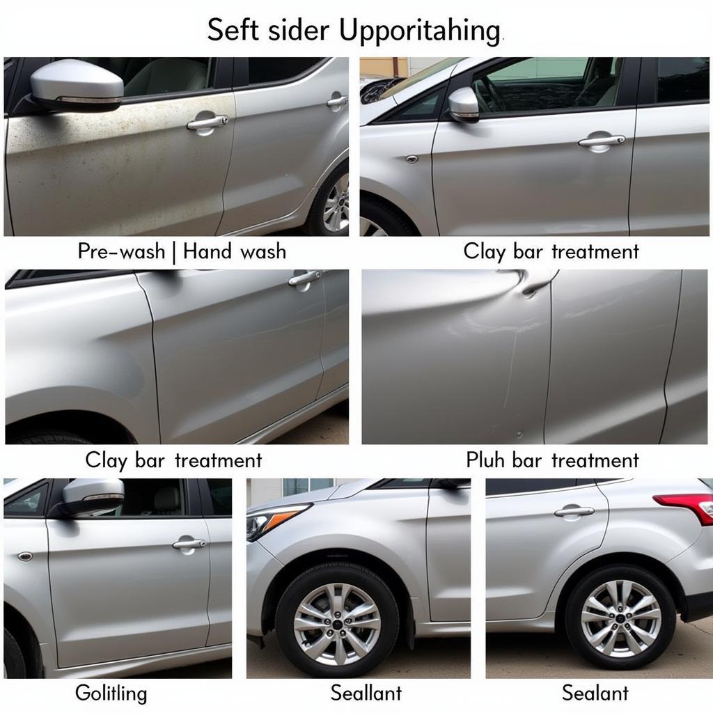 Hoffman Exterior Car Detailing Process Stages