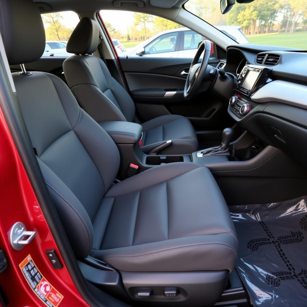 Honda Interior Detailing