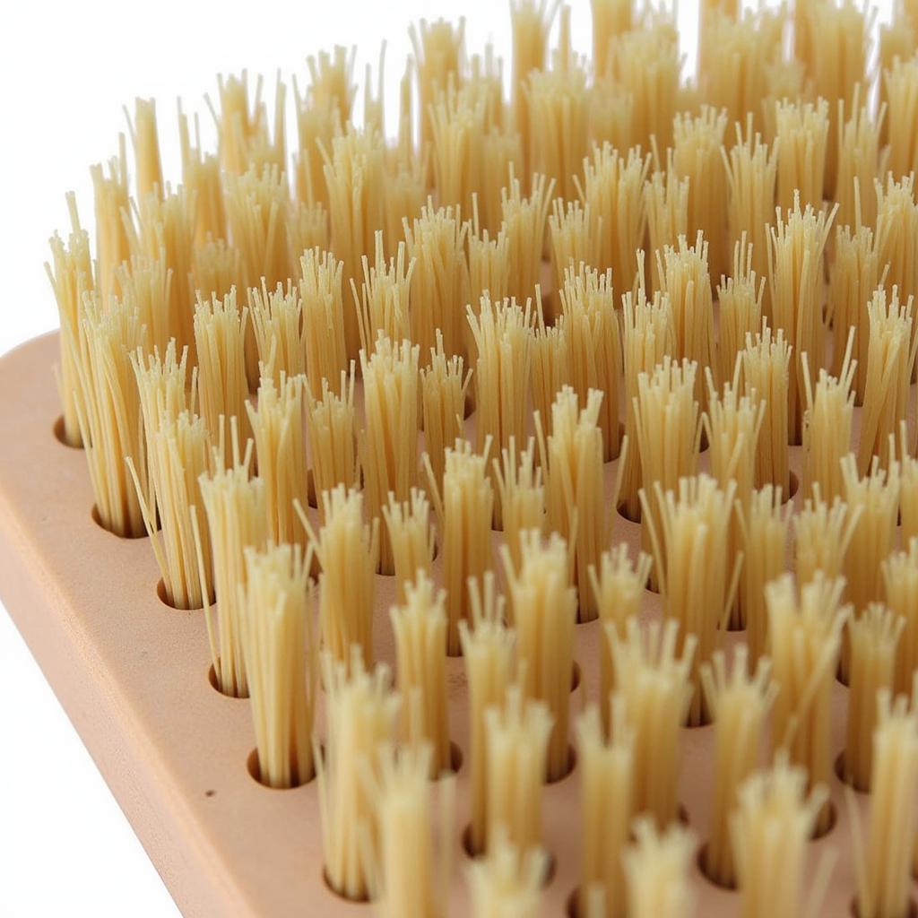 Close-up of Imitation Boar Brush Bristles