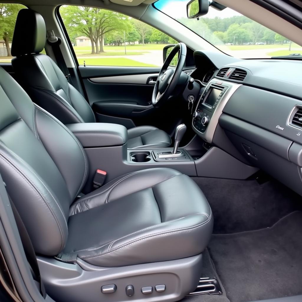 Professional Interior Car Detailing in Boerne, TX